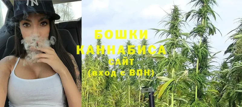 Бошки марихуана SATIVA & INDICA  omg рабочий сайт  Новоуральск  сколько стоит 